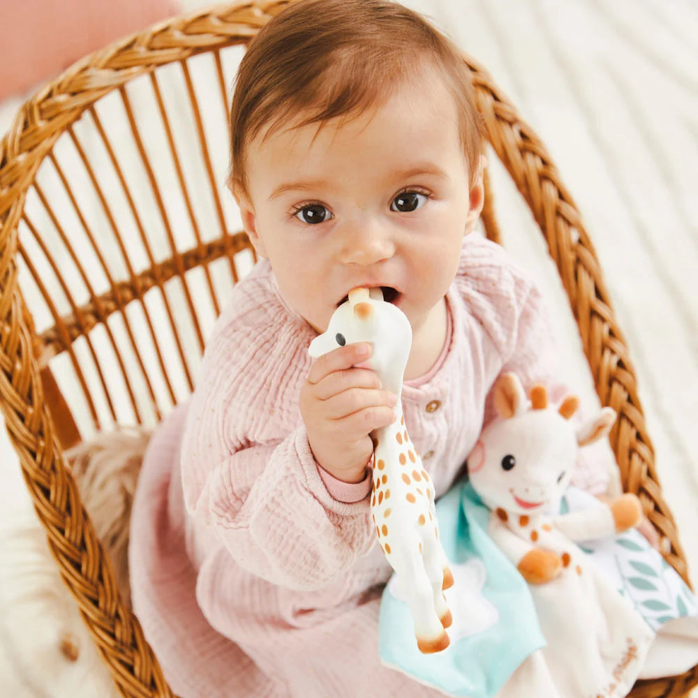 Sophie &  Comforter Gift Set