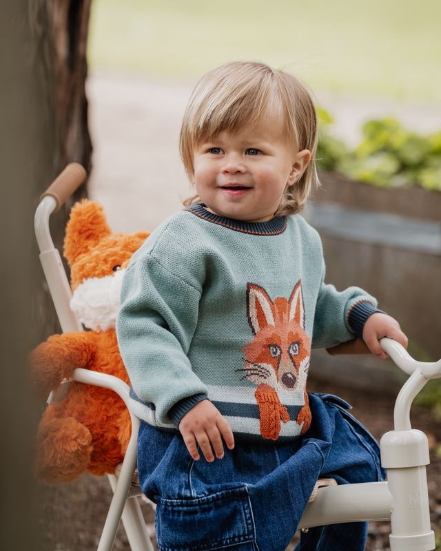 Mr Fox in Mittens Jumper
