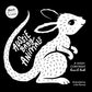 Aussie Baby Animals - A High Contrast Board Book