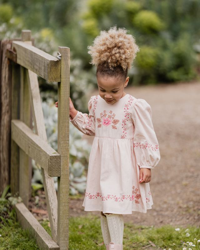 Embroidered Dress - Pink Blush