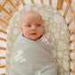 Zanzibar Organic Fitted Bassinet Sheet/Change Pad Cover