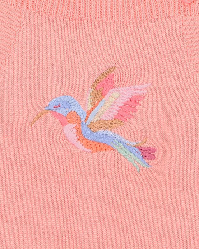 Songbird Embroidered Knit Bodysuit - Shell Pink