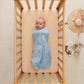 Cocoon Swaddle Bag 1.0 TOG - Dragonflies