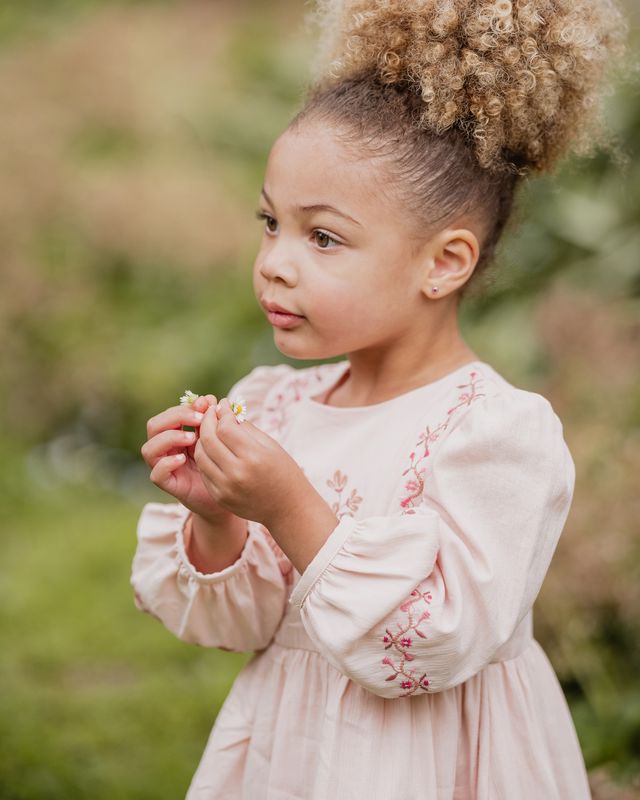Embroidered Dress - Pink Blush
