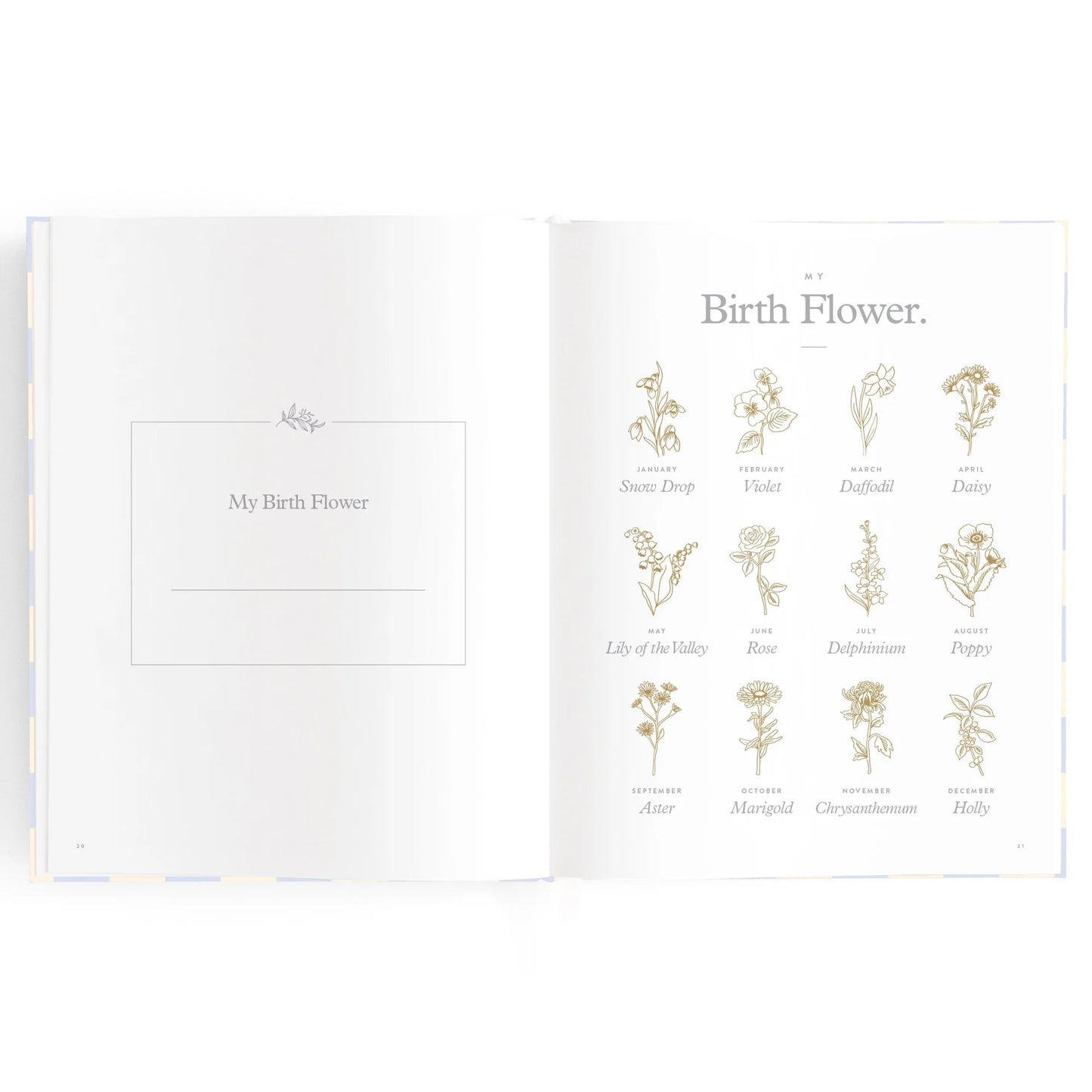 Baby Book - Blue Check