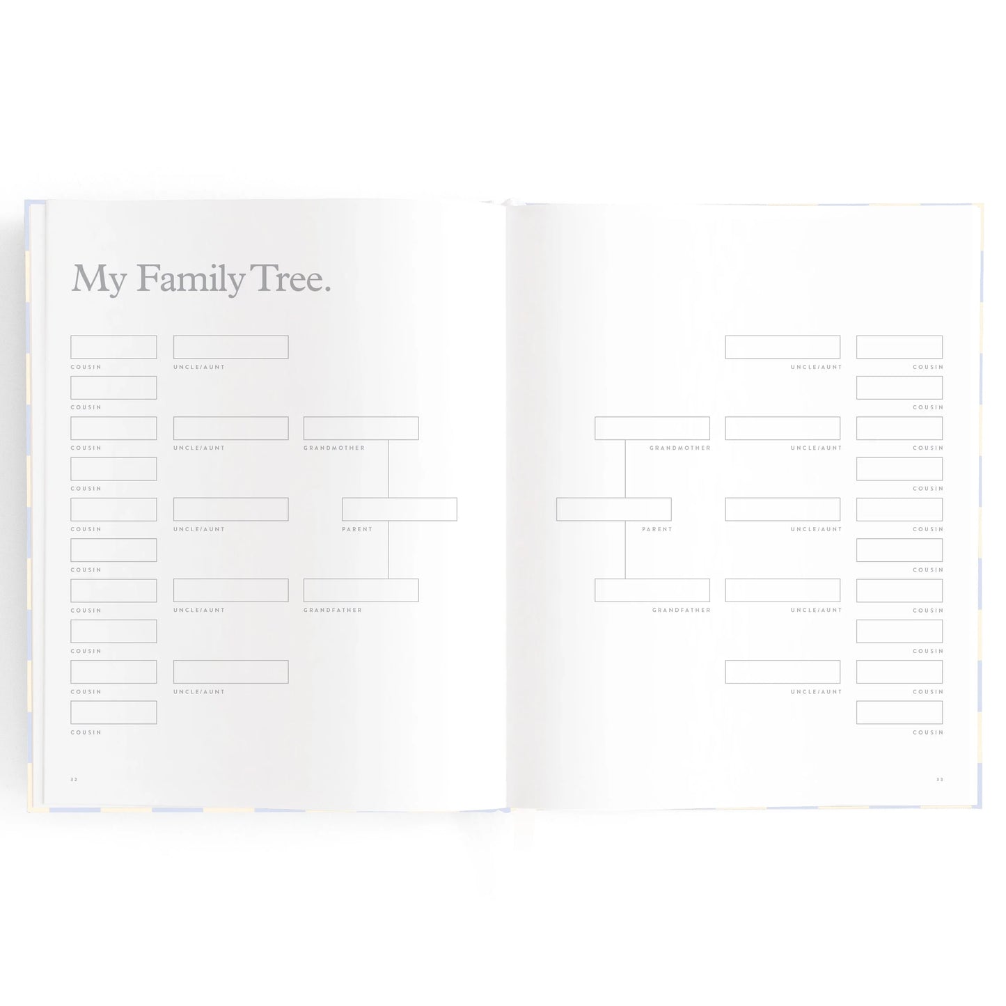 Baby Book - Blue Check