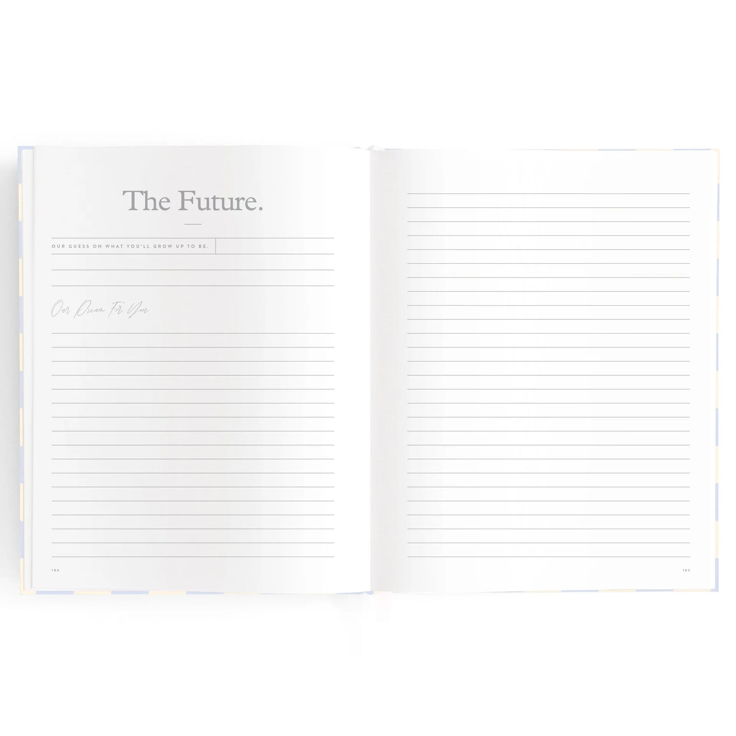 Baby Book - Blue Check