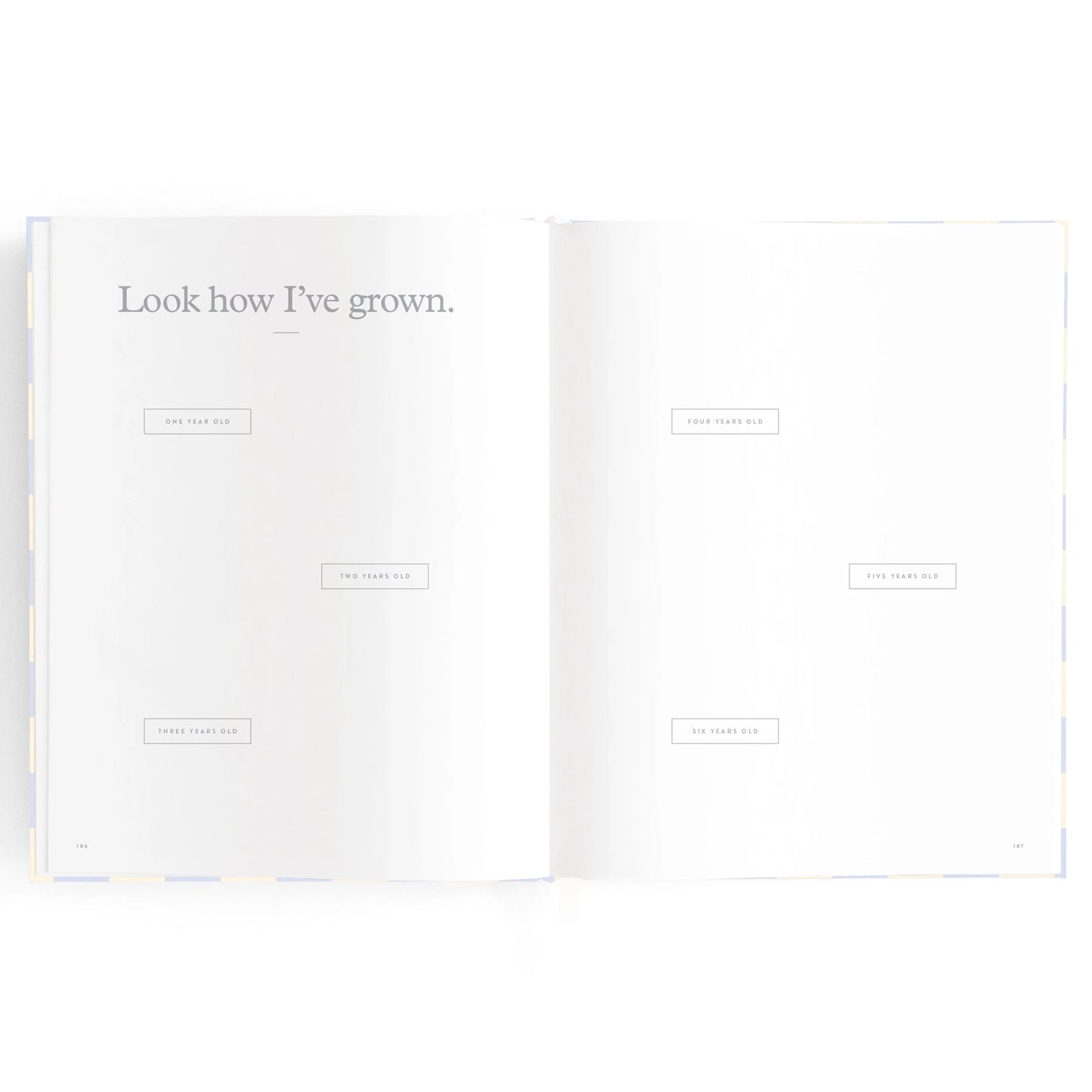Baby Book - Blue Check