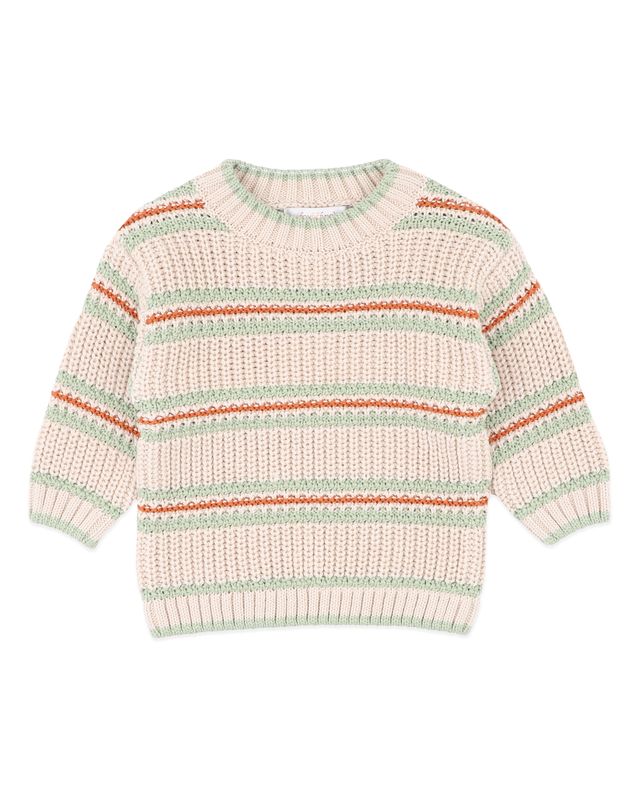 Stripe Knitted Jumper - Wild Side Stripe