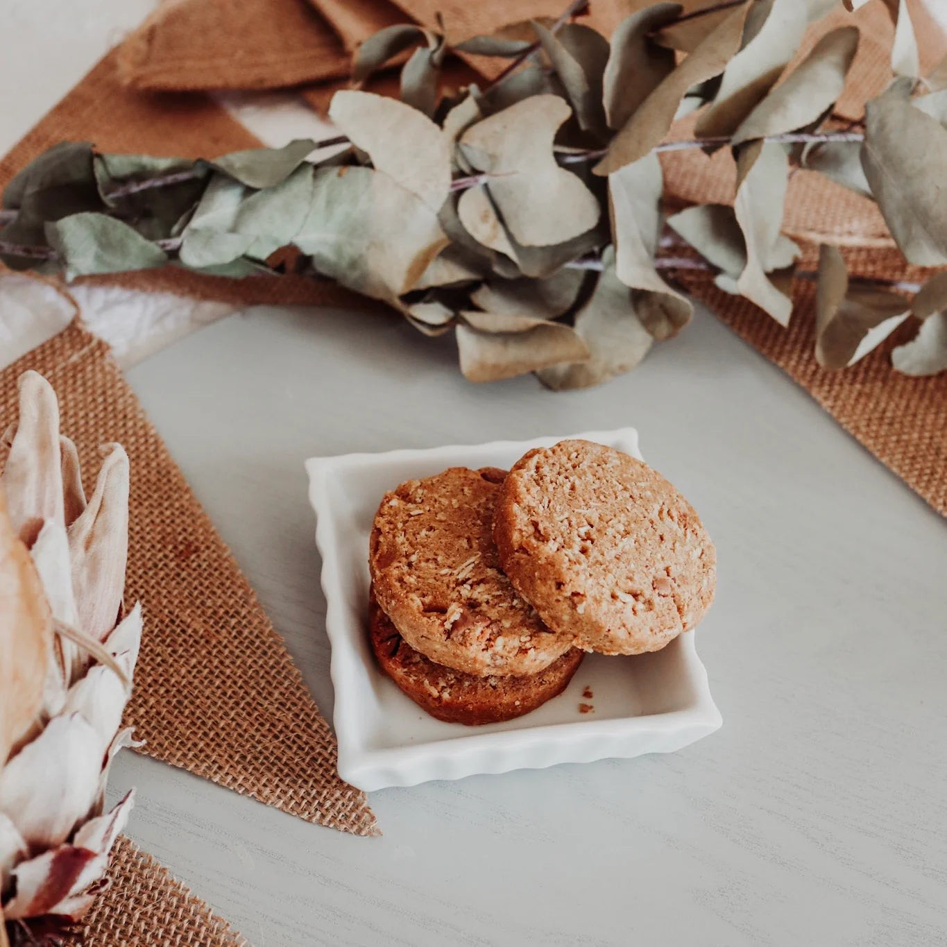 Milky Goodness Choc Chip Lacation Cookies