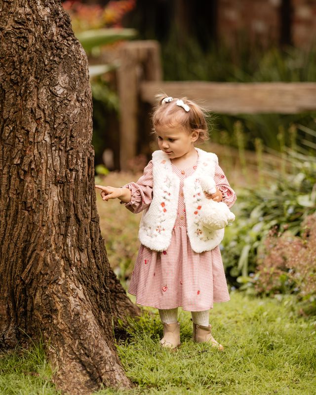 Embroidered Bloom Dress - Dusty Pink Check
