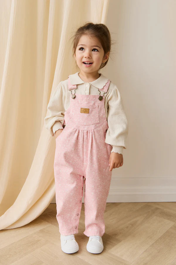 Cecil Overall - Paula Powder