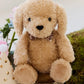 Honey the Puppy - Honey