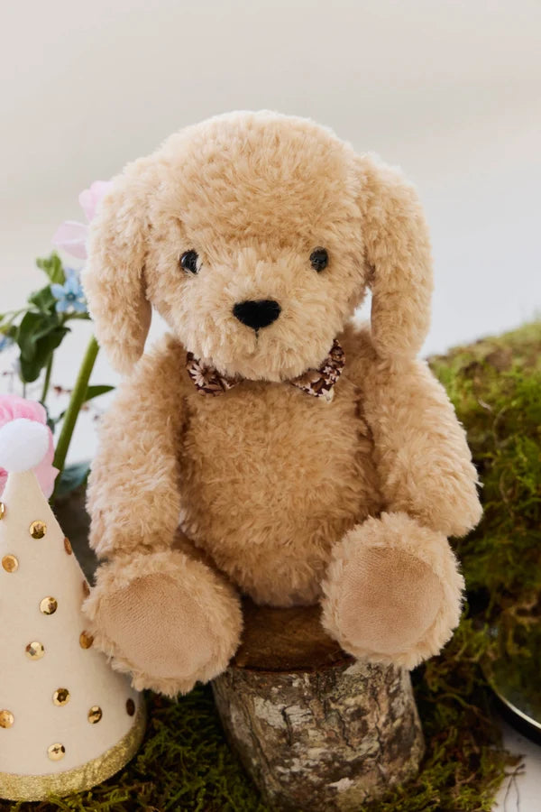 Honey the Puppy - Honey