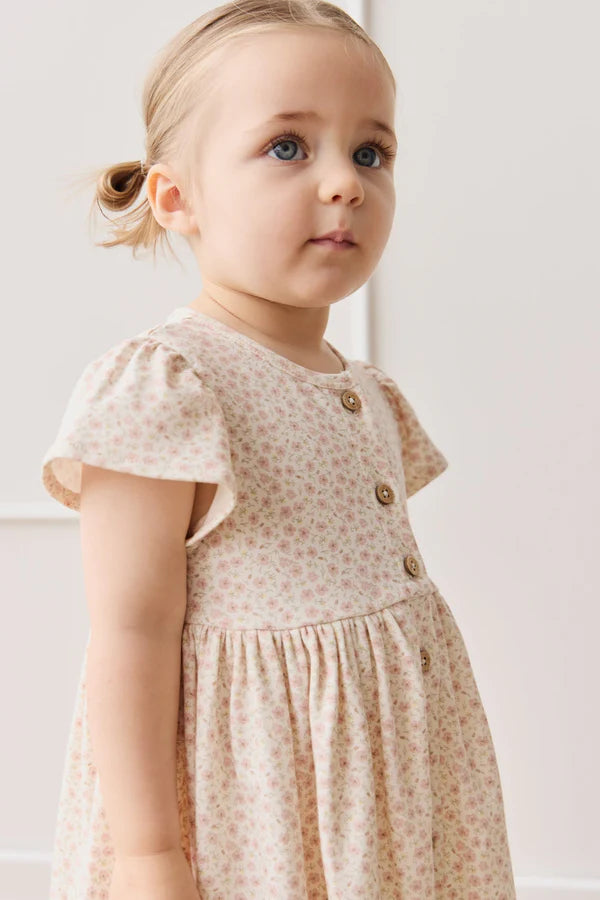 Dahlia Dress - Penelope Rose