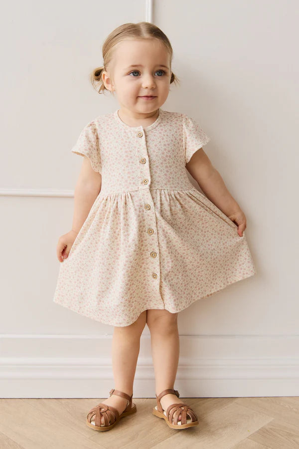 Dahlia Dress - Penelope Rose
