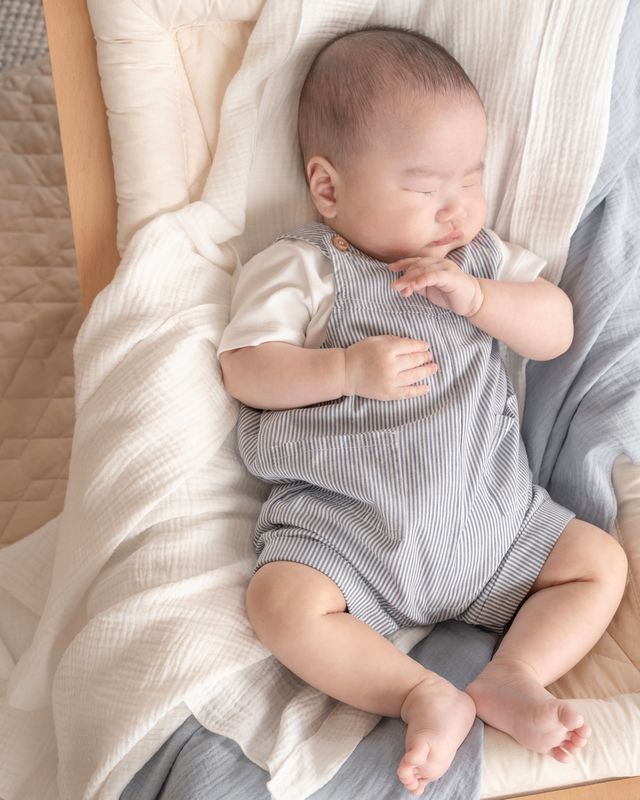 Brady Woven Overalls - Brady Stripe