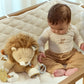Safrai Friends Activity Cuddle Lion