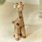 Safrai Friends Cuddle Giraffe