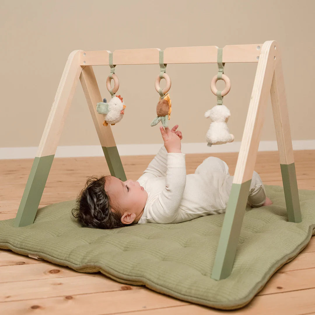 Little Farm Wooden Baby Gym