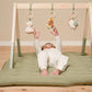 Little Farm Wooden Baby Gym