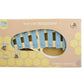 Buzzy Days Xylophone