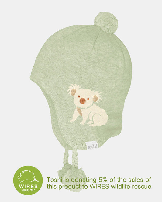 Toshi Organic Storytime Beanie - Koala