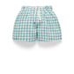 Pull on Gingham Shorts - Kingfisher Stripe