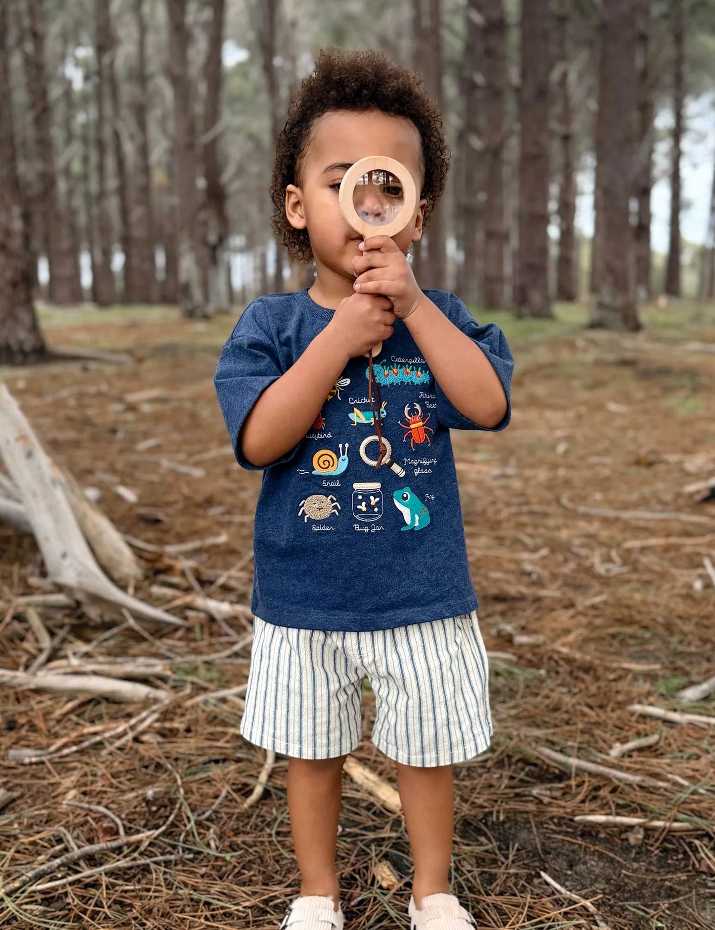 Pull On Striped Shorts - Ticking Stripe