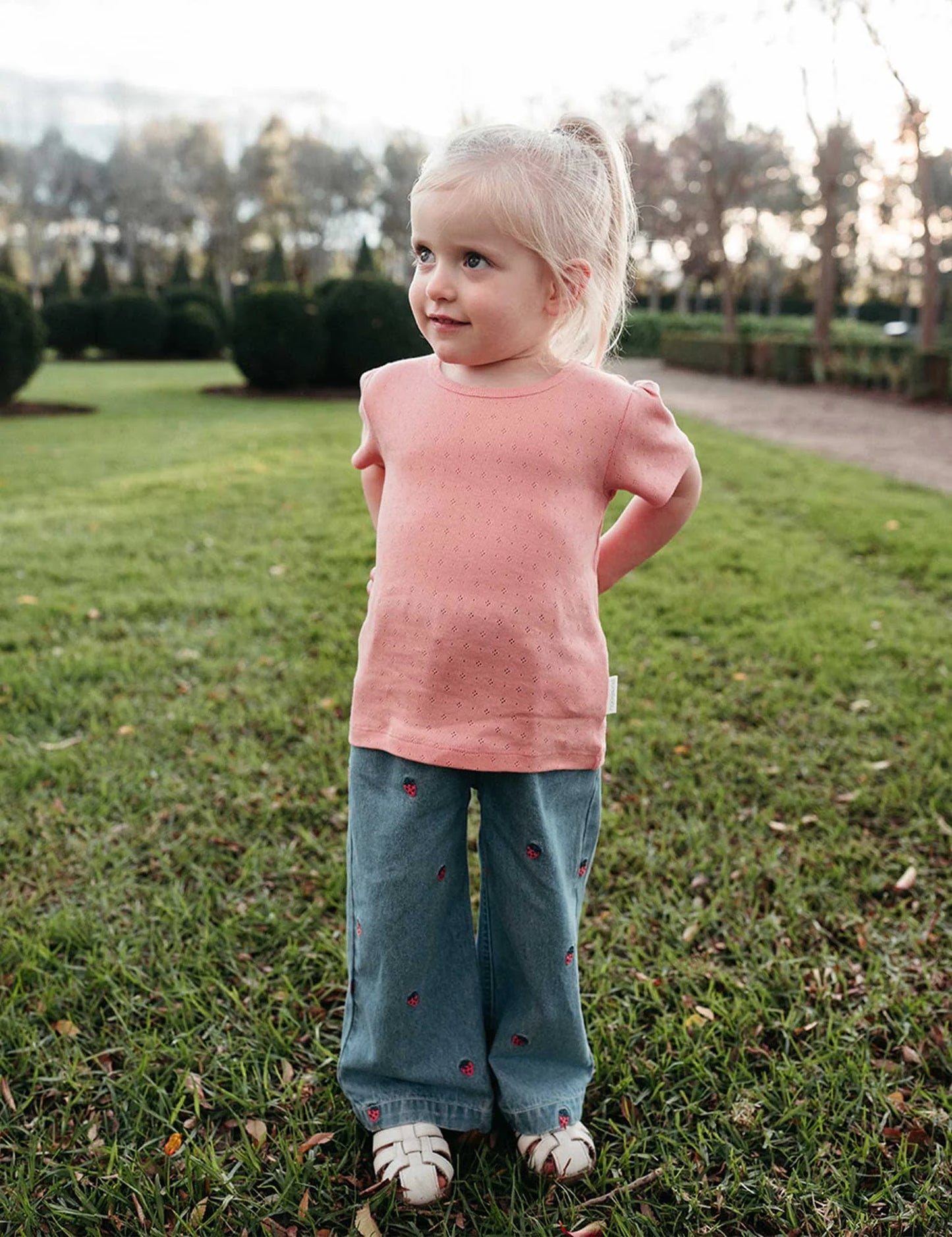 Pointelle Tee - Peach