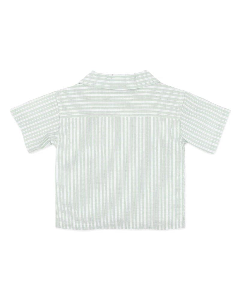 Evan Shirt - Green Stripe