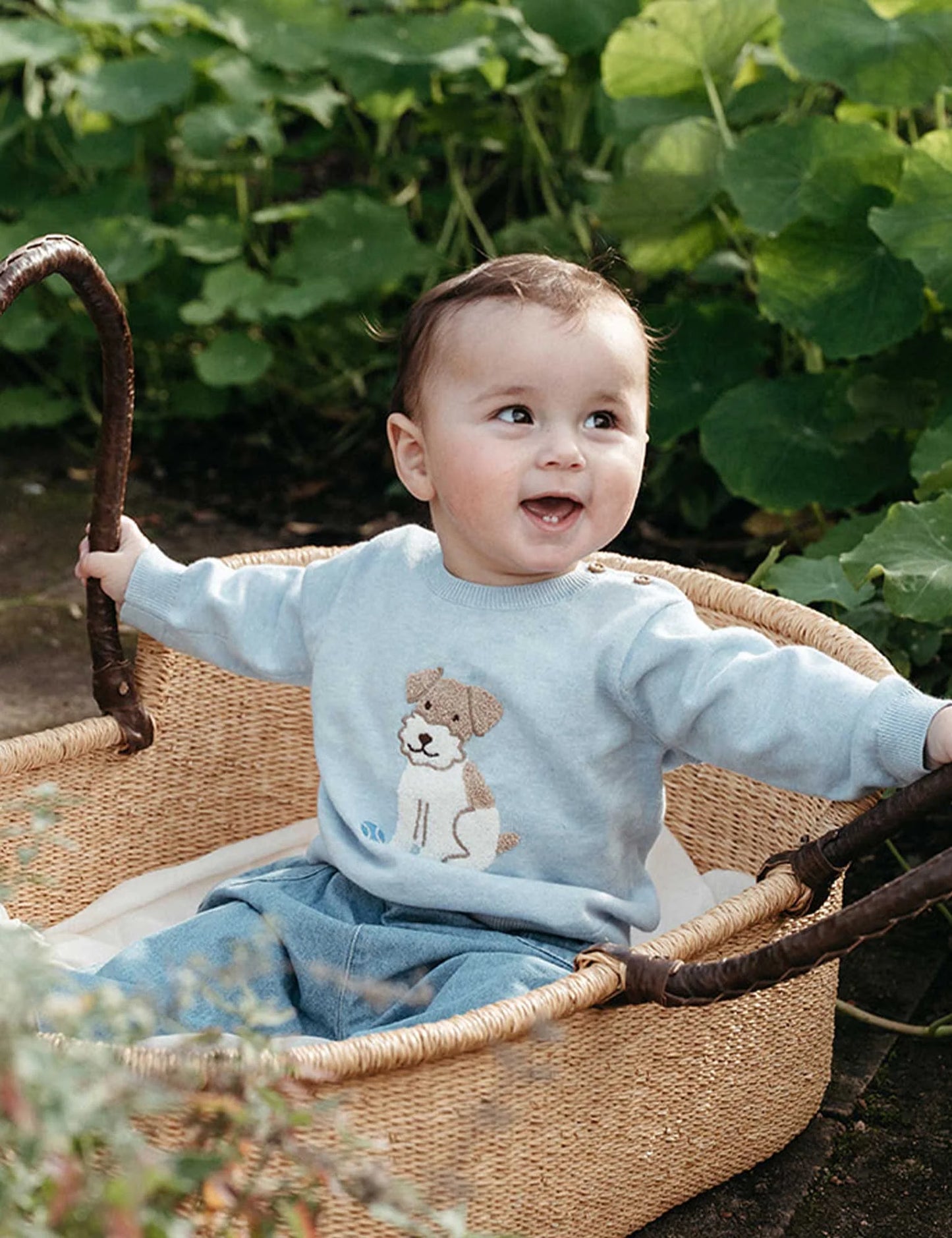 Puppy Embroidered Jumper - Sky