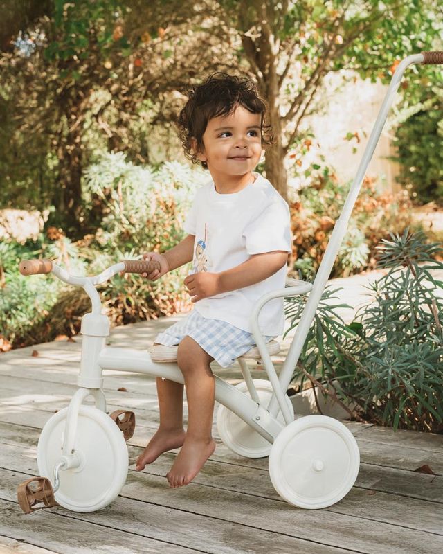 Axel Check Shorts - Sky Check