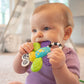 Sassy Baby - Flutterby Teether
