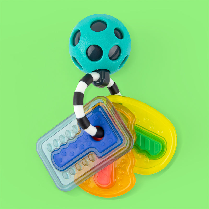 Sassy Baby - Drive N Drool Keys
