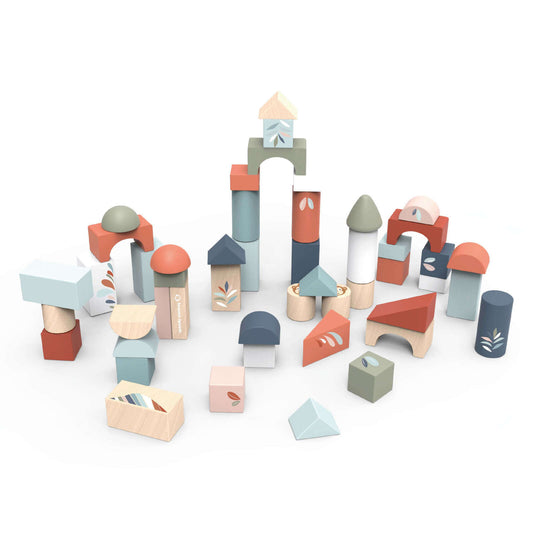 Speedy Monkey Building Blocks - 50Pce Set