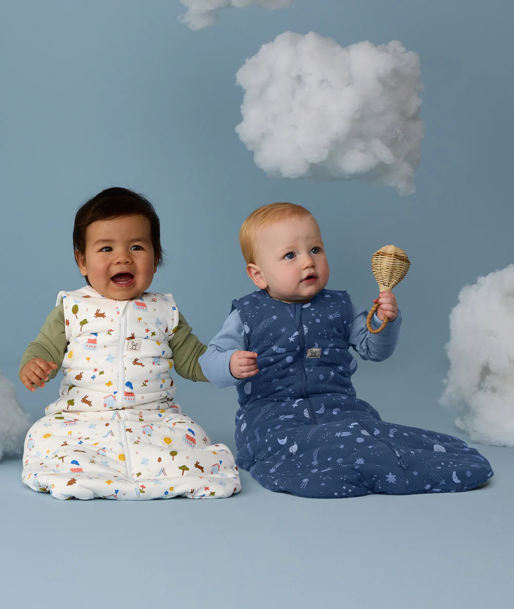 Cocoon Swaddle Bag 2.5TOG - Daydream