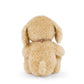 Honey the Puppy - Honey