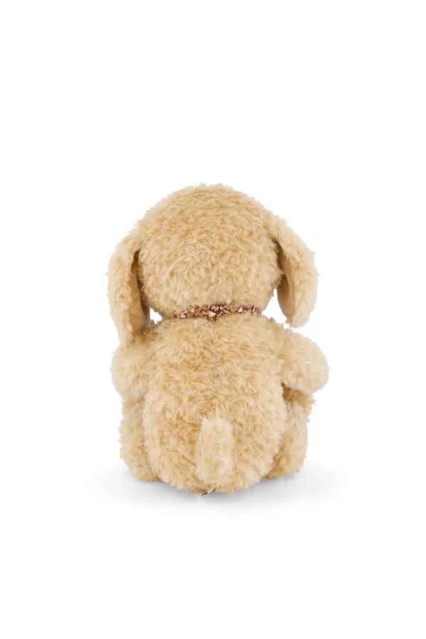Honey the Puppy - Honey