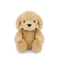 Honey the Puppy - Honey
