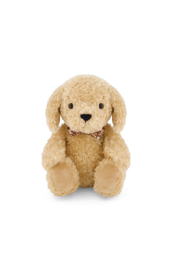Honey the Puppy - Honey