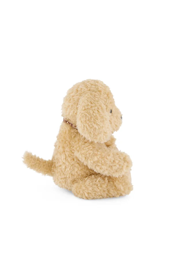 Honey the Puppy - Honey