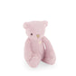 George the Bear - Powder Pink 20cm