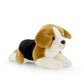 Brooklyn The Beagle