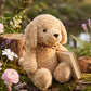 Honey the Puppy - Honey