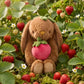 Penelope The Bunny Strawberries - Oak