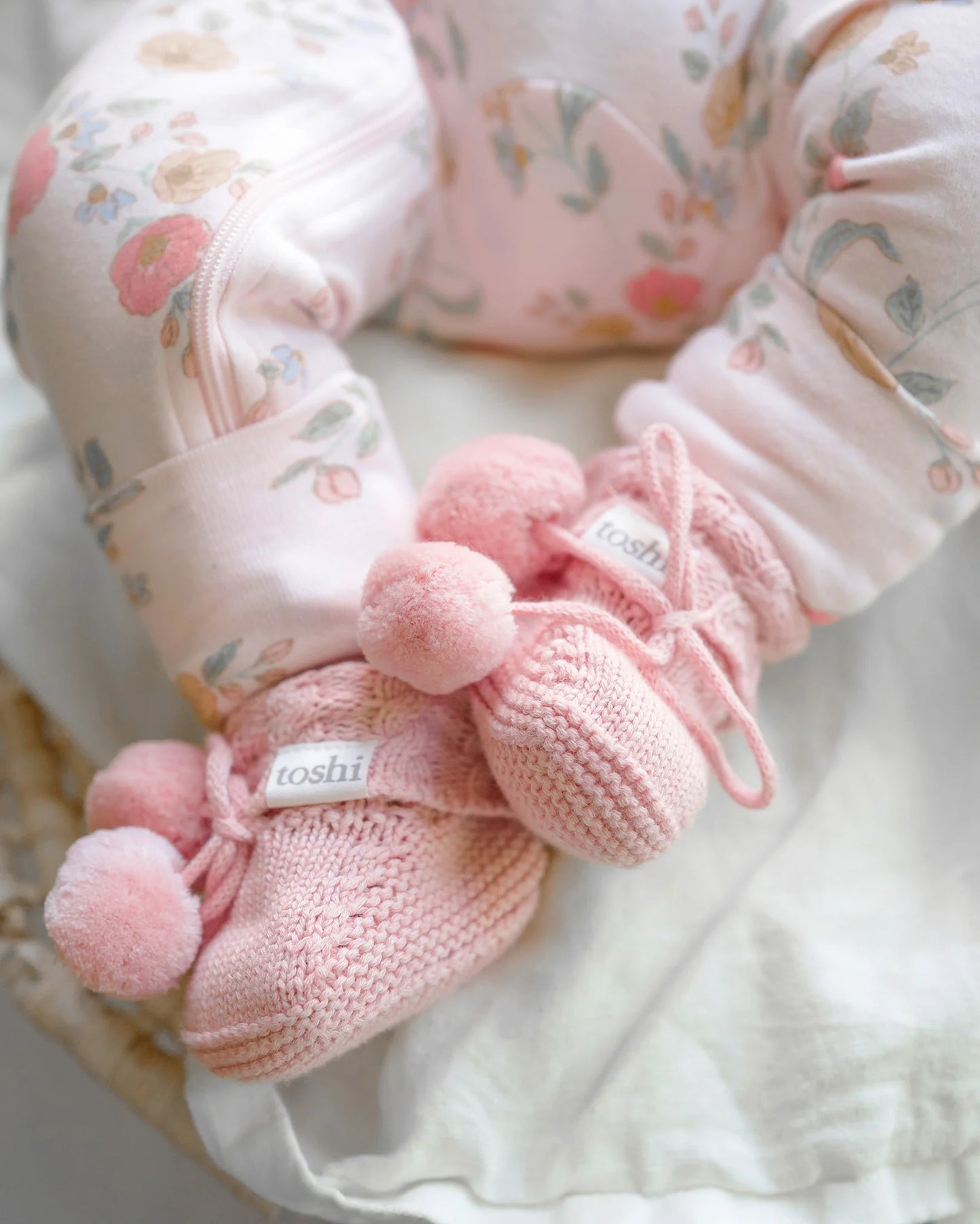 Toshi Organic Booties Yummy - Misty Rose