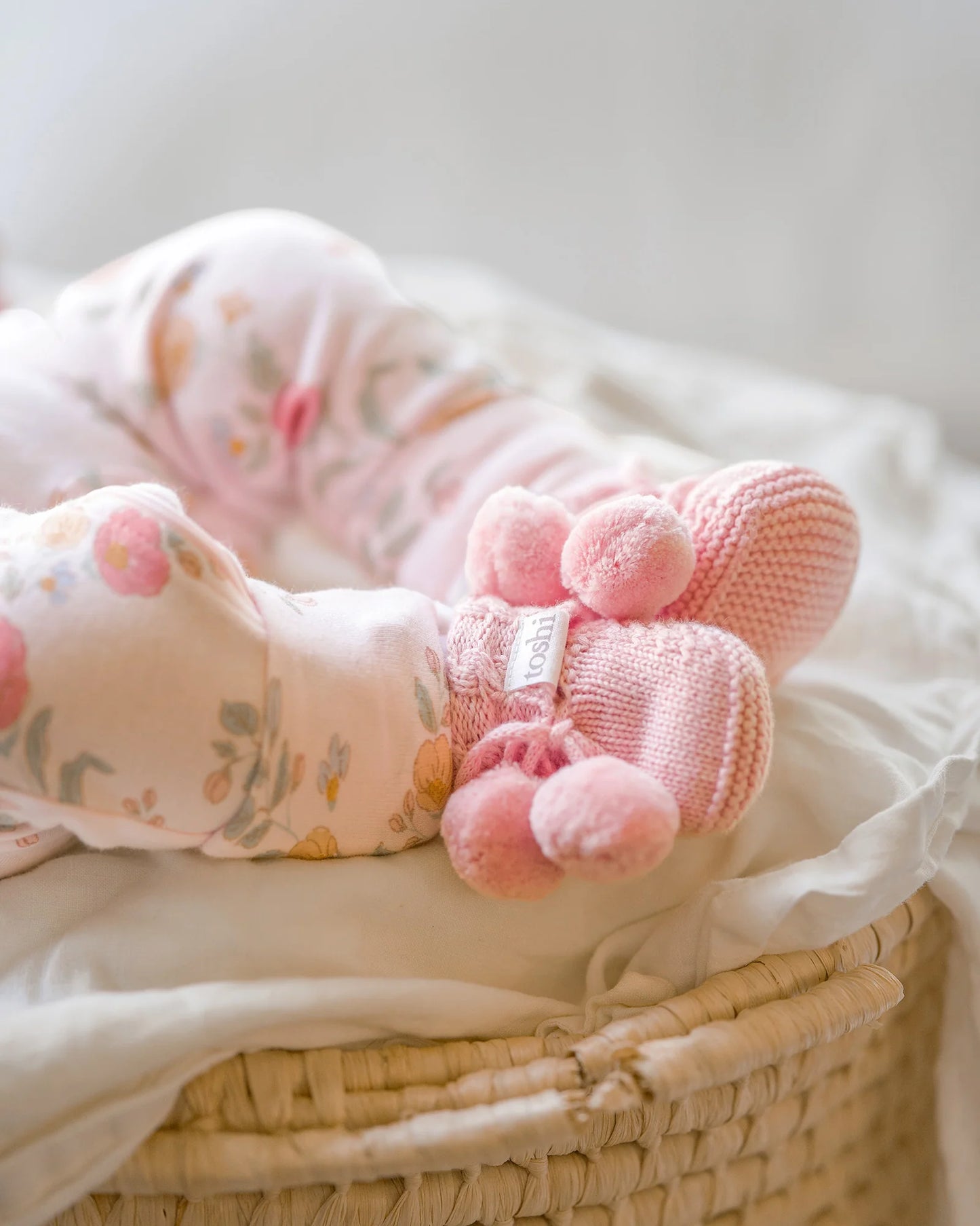 Toshi Organic Booties Yummy - Misty Rose