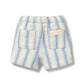 Deep Blue Stripe Organic Shorts