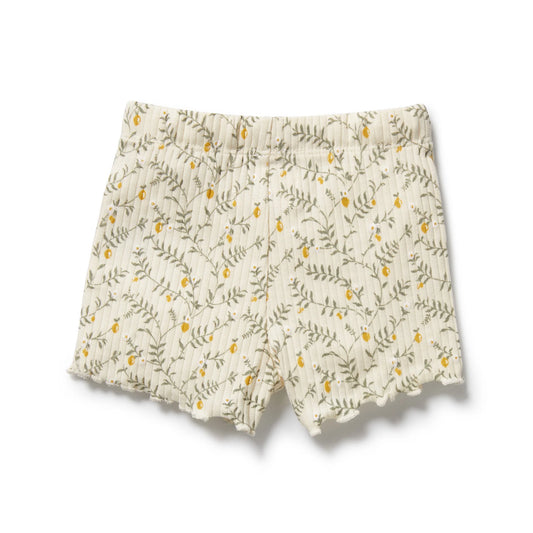 Lemon Leaf Organic Shorts